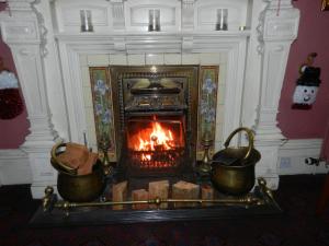 泰恩Morangie Hotel Tain的壁炉,里面装有两壶和火
