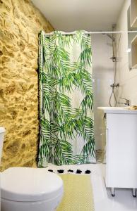 圣地亚哥－德孔波斯特拉Numa Rúa Travesa的浴室配有带卫生间的淋浴帘