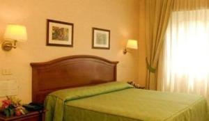 罗马桑皮耶特罗酒店的一间卧室设有一张绿色的床和一个窗户。