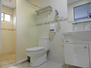 鹿谷乡半天陶坊 的白色的浴室设有卫生间和水槽。