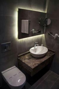 萨姆松全景达姆拉酒店的一间带水槽和卫生间的浴室