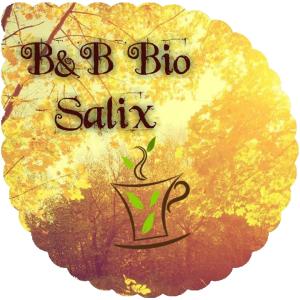帕多瓦Bed and Breakfast Bio Salix的把水 ⁇ 的词画在杯子上