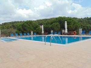 克里奥斯斯亚索斯钻石公寓酒店的一个带蓝色椅子和树木的大型游泳池