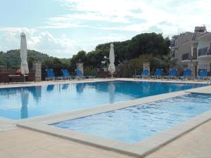 克里奥斯斯亚索斯钻石公寓酒店的一个带椅子和遮阳伞的大型游泳池