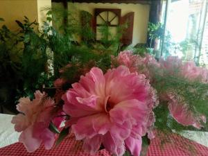 萨莫科夫佐迪亚克宾馆的一张桌子上一束粉红色的花