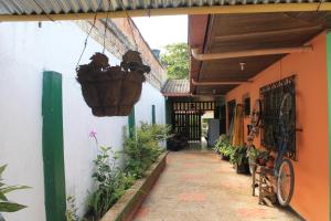 莱蒂西亚Casa Nora & Alejo的一条种有植物的小巷和一篮子挂在建筑物上