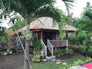 蓝梦岛景佳旅馆的前面有一棵棕榈树的小房子