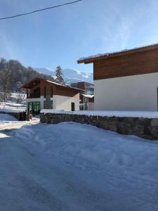 冬天的Cottage in Bakuriani