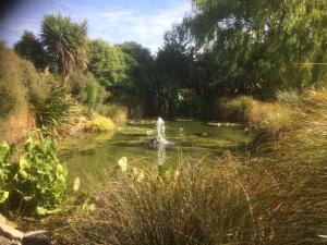 基督城草甸别墅 的花园中带喷泉的小池塘