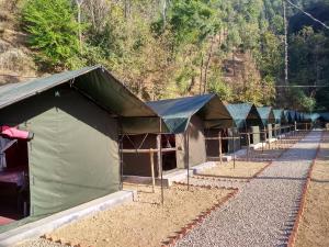 柴尔丛林住宿豪华帐篷的山边的一排绿色帐篷