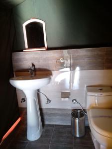 柴尔丛林住宿豪华帐篷的一间带水槽和卫生间的浴室