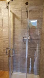 德拉姆纳德罗希特克伦贝格旅馆的浴室里设有玻璃门淋浴