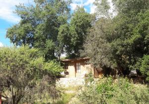 拉佩尔湖Cabaña de Adobe en Lago Rapel的树中间的小石头房子