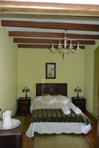 Santa Olaja de la VegaCasa Rural La Calceta的一间卧室配有一张床和一个吊灯