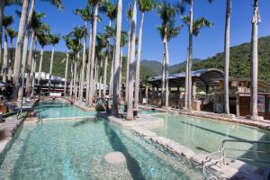 Wenquan东台温泉饭店的度假村内棕榈树游泳池