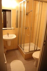 索波特hostel leśny的带淋浴、卫生间和盥洗盆的浴室