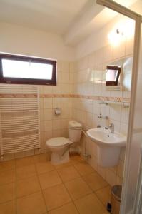 扎兹里瓦索里斯科膳宿酒店的一间带卫生间和水槽的浴室