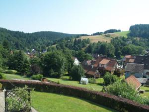 阿尔特瑙Haus Reimann的享有村庄的房屋和树木美景
