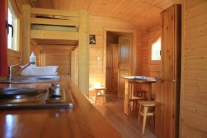 布瓦乐洛伊Roulottes de Bois le roi的小木屋内的厨房设有水槽