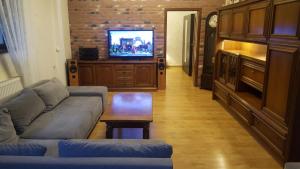 波兰尼卡-兹德鲁伊Apartament na Wolanach的带沙发和电视的客厅