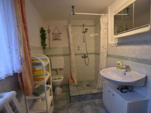 克吕茨Lovely Apartment near Sea in Klutz的一间带水槽、淋浴和卫生间的浴室