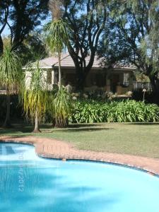 纽卡斯尔Farmhouse Lodge的棕榈树屋前的游泳池