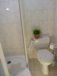 比斯利表德佩雷斯好酒店的浴室设有卫生间和植物淋浴。