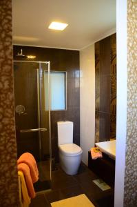 Żejtun巴拉自奥1787公寓的浴室配有卫生间、淋浴和盥洗盆。