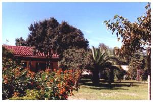 圣卢西亚迪莫里亚尼戴迈尼德艾弗戴妮拉公寓的一座有红色屋顶、一些树木和花卉的房子