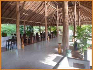 坦加拉红树林海滩小屋酒店的相册照片