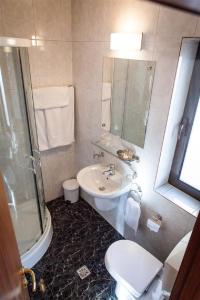 布加勒斯特塔尼亚 - 法兰克福酒店的一间带水槽、卫生间和淋浴的浴室