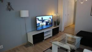瓦萨Pro Apartments 5的客厅配有台面上的平面电视