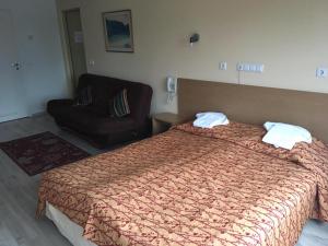 派尔努卡罗来纳酒店的配有一张床和一把椅子的酒店客房
