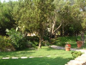 罗通多港Sa Jaga Brujada Residence - Simar Vacanze的种有树木和绿色草植物的花园