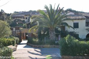 罗通多港Rotondo Residence - Simar Vacanze的房屋前的棕榈树