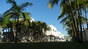 克里西玛紫浓汽车旅馆（仅限成人）的一群棕榈树在一座建筑前