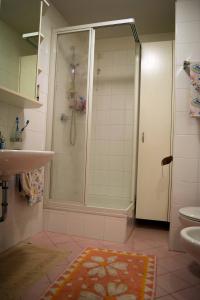 瓦勒斯Appartamento MaVi的带淋浴和盥洗盆的浴室