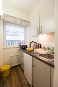 巴特霍夫加施泰因Appartementhaus Lafenthaler mit kostenlosem Eintritt in Alpentherme的厨房配有白色橱柜、水槽和窗户。