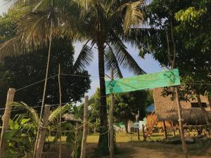高龙撒冷岛懒人旅舍的棕榈树前的街道标志