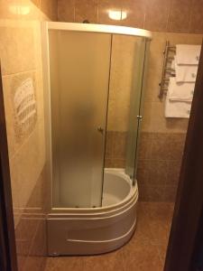 YakushintsyPodilskii Dvir的浴室里设有玻璃门淋浴
