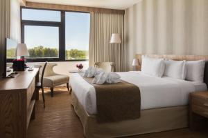 阿尔米隆温泉Salinas del Almiron Resort Termal的配有一张床、一张书桌和一扇窗户的酒店客房