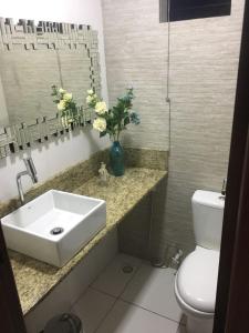 博阿维斯塔Novo Hotel的一间带水槽和花瓶的浴室