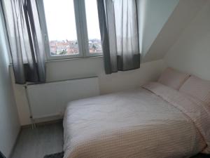 布鲁塞尔布鲁塞尔机场私人一室公寓的一间小卧室,配有床和2个窗户