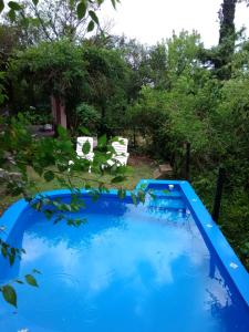 Casa Cabana内部或周边泳池景观