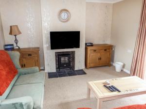 巴特尔Amelia Cottage的客厅设有壁炉和电视。