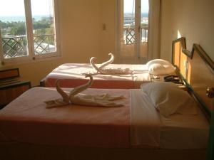 赫尔格达赫尔格达戴安娜酒店的两张床铺,房间上放着两条蛇