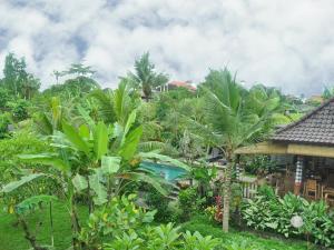 乌布布库旅馆的一个带游泳池和棕榈树的度假村
