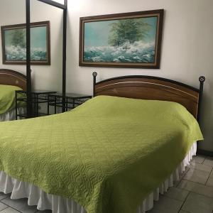San AntonioOro Apart Hotel的卧室配有一张绿色的床,墙上挂有两张照片