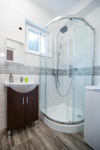 布达佩斯绿色区域小度假屋的带淋浴和盥洗盆的浴室