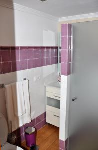 巴尔塞基略Casa Teresa Las Vegas的浴室拥有紫色和白色的瓷砖墙壁